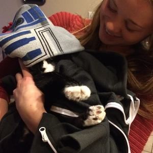 Meet your Posher, Haley